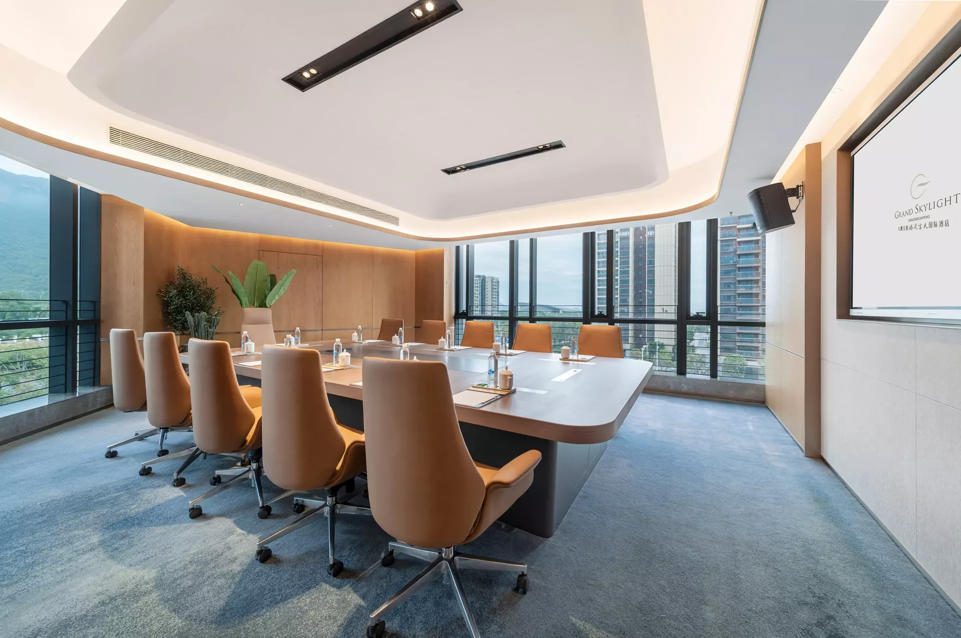 Luxury Executive Chairman Office Desk and Credenza